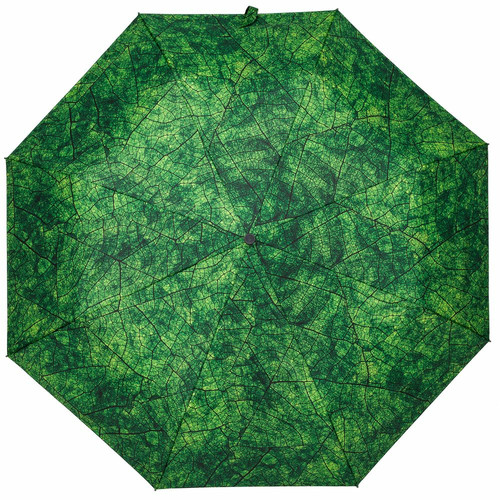 Зонт складной Evergreen
