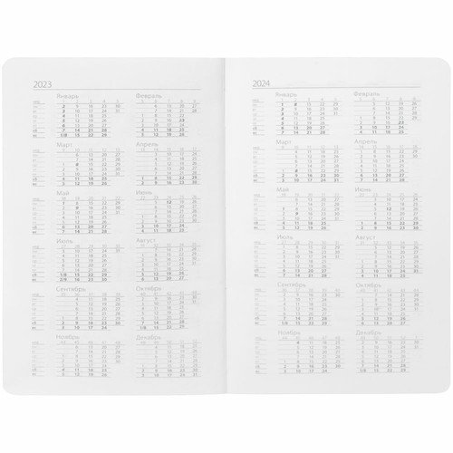 Ежедневник Basis Mini ver.2, недатированный, серый