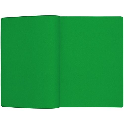 Ежедневник Flexpen Shall, недатированный, ver. 1, зеленый