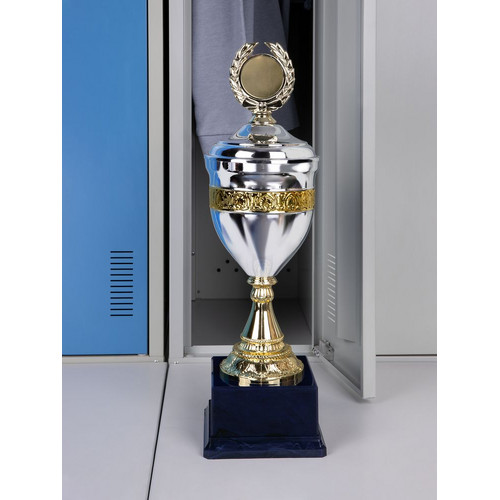 Кубок EnterPrize, серебристый